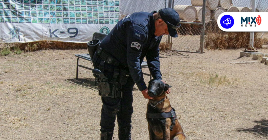 La Unidad K9 refuerza la seguridad y vigilancia en Aguascalientes