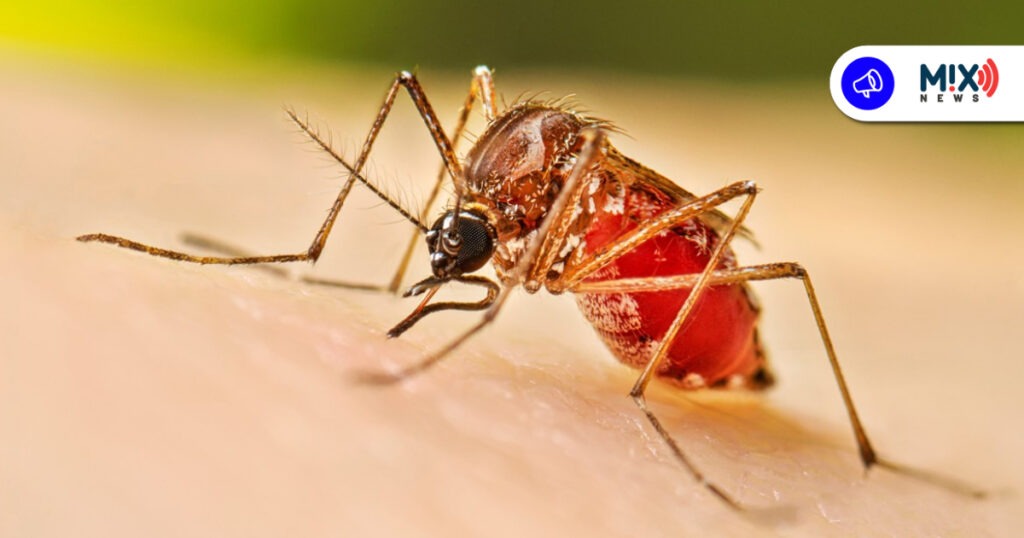 Aguascalientes llega al verano sin casos de dengue, ISSEA refuerza vigilancia preventiva