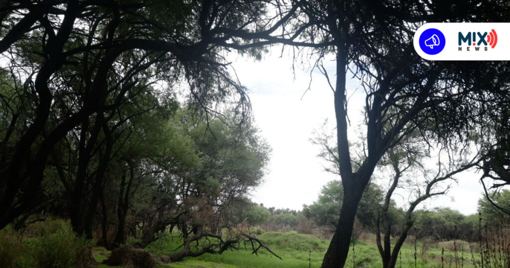 Denuncian ambientalistas abandono en área protegida de La Pona