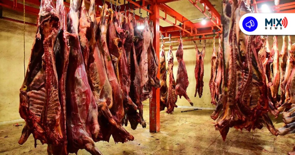 Rastro Municipal de Aguascalientes, sin casos de clembuterol