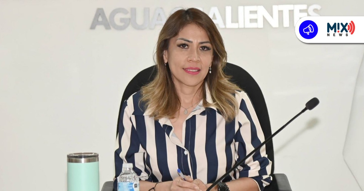 Este mes IEE resolverá primeras denuncias por presuntos actos anticipados de campaña