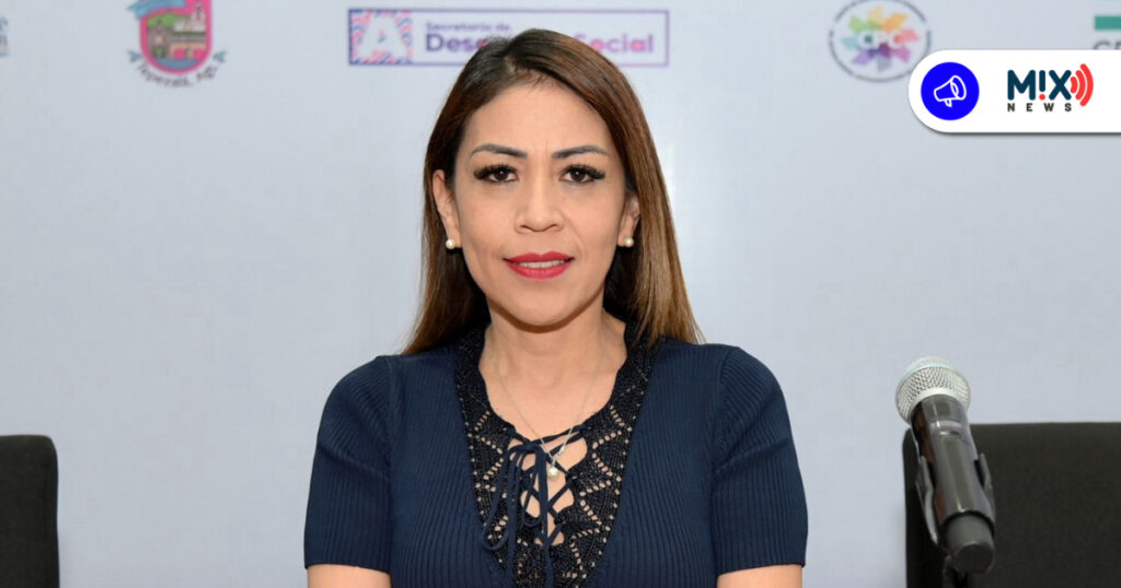 IEE aún no define cómo participaría el eventual municipio 12 en 2027