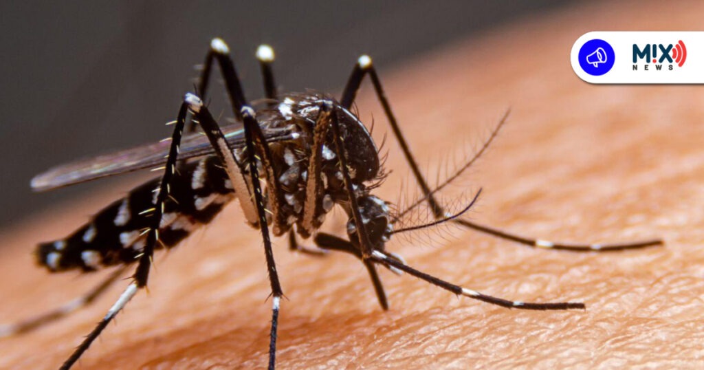 Hasta 400 casos de dengue matienen alerta al estado; llaman a reforzar la prevención en casa