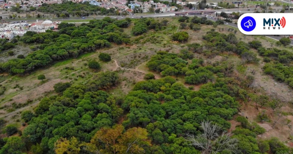 Declaratoria de La Pona como área natural protegida en diciembre